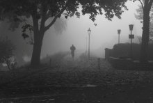 Fog / ***
