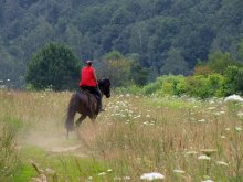 horsewoman / .........