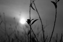 Here is the mood / ***