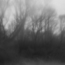 The November / ***