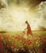 Poppies / ***