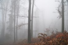 Something like a fog / ///////