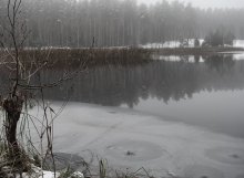 Melancholy November ... / ***