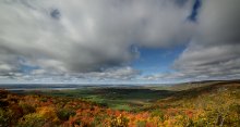 pride of Autumn / pride of Autumn
