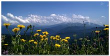 Sommer in den Bergen / ***