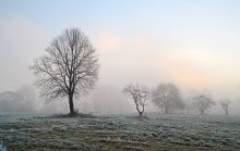 morning frosts / ***