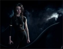 Dark knight / ***