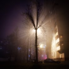 Mist im Hof / ***