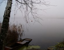 November fog / .............