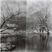 Snow number 2 / Graflex Crown, 6x6