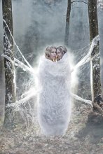 cocoon / +++++++++++