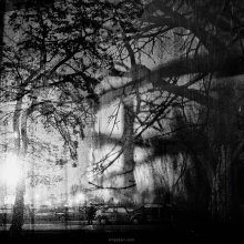 [Freitag ...] / December ... soon ... and yesterday Full Moon