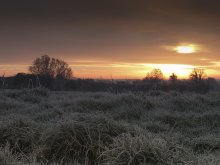 Frosty ... ... / ***