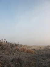ersten Schritte des Winters / ***