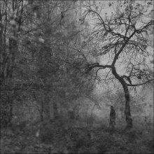 Old Garden / ***