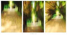 [ Transformation in Time ] / ***