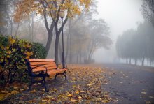 deserted parks / .....