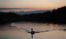 Evening Lake. / ---