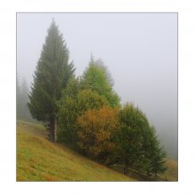 Carpathian diagonal / ******