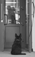Waiting for you! / ***