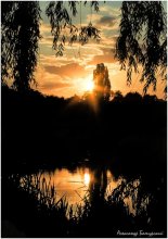 Penetration of the sun / ***