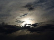 Before the storm / ***