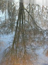 a bit of reflection of autumn ... / ***