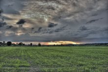 Birth of a New Day / ***