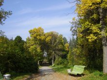 The road to autumn / ***