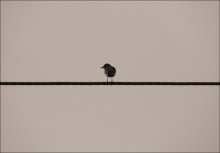 At the crossroads .. / ***