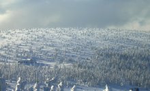 Snowy expanses. / ***