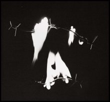 1989 / ***