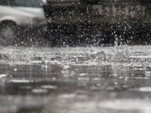 Rain / ***