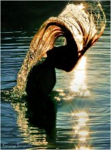 Vulcan Soul / ***
