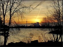 what do you dream cruiser "Toronto"? .. / ***
