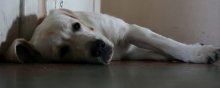 Leave me alone ... / ***