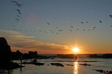 sunset over the Pacific / ***