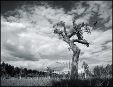 off the ground / ***