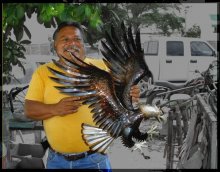 Souvenir seller / ***