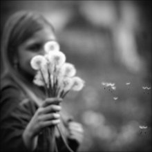 Dance of small swans / ***