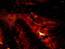 coals / ***