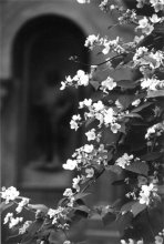Untitled / ***