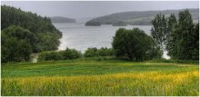Rainy summer / ***