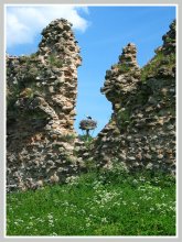 Old Castle / ***