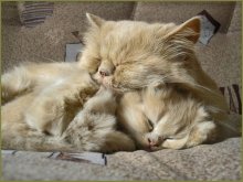 Just such a strong love .. / ***