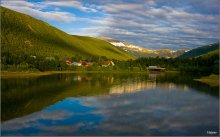 Common Norway / ***