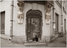 St. Petersburg Dog / ***