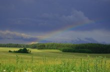 Semitsvetnaya parabola / ***