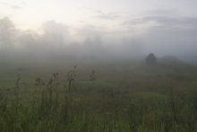 Hazy / ***