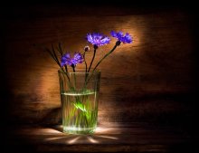 Modest still life / ***